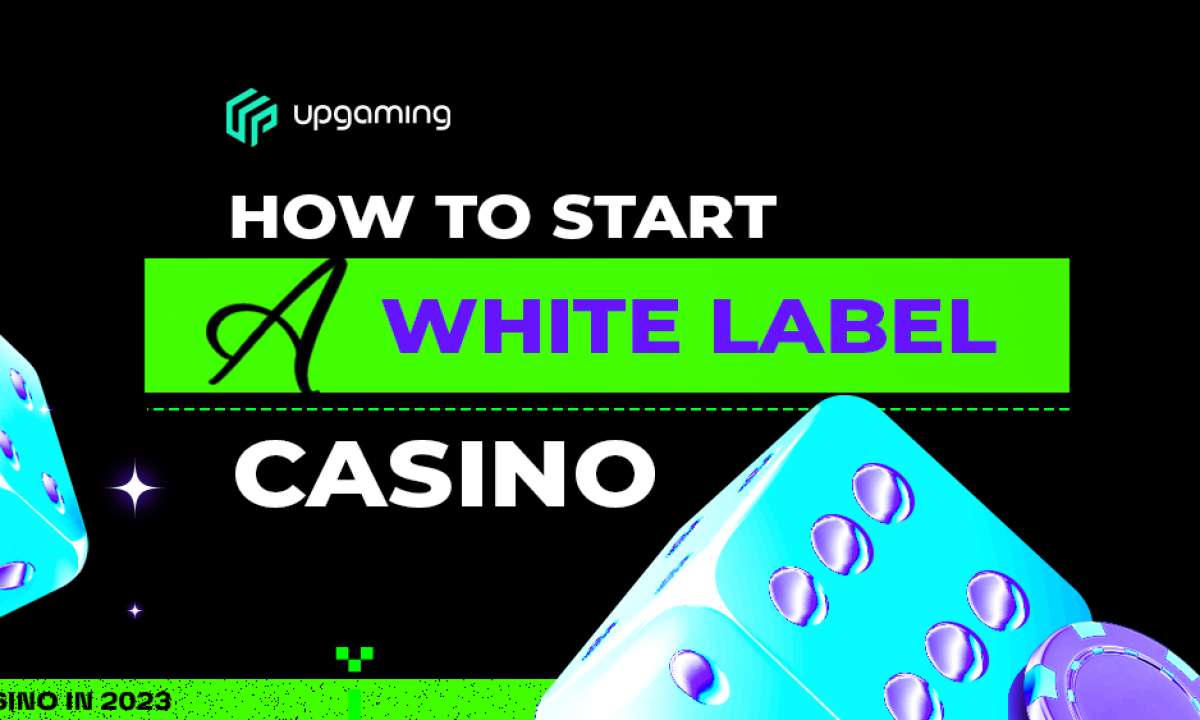 Push Gaming Software Guide for Online White Label Casinos