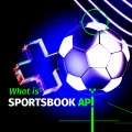 What is Sportsbook API and when you should use it