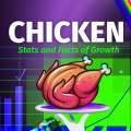 Chicken – Stats and Facts of Growth